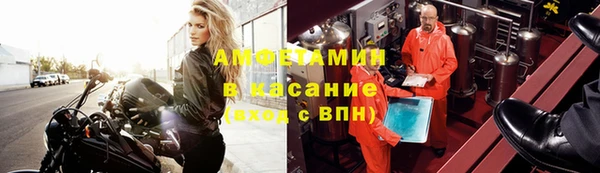 сатива Балахна