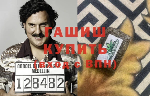 сатива Балахна