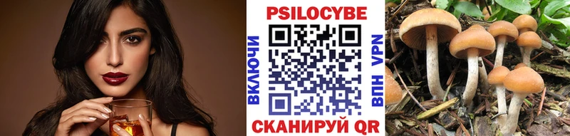 Галлюциногенные грибы Psilocybe  купить наркотик  Чусовой 